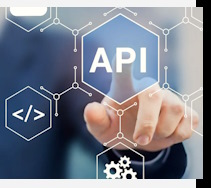 Услуги Разработка IT решений в Сегеже