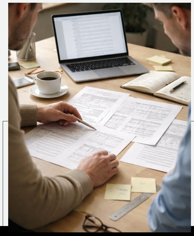 Техническое задание на разработку ПО под ключ в Сегеже